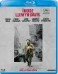 Inside Llewyn Davis (FR Import ohne dt. Ton) Blu-ray