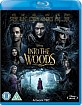 Into the Woods (2014) (UK Import ohne dt. Ton) Blu-ray