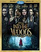 Into-the-Woods-2014-US_klein.jpg
