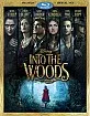 Into the Woods (2014) (Blu-ray + UV Copy) (US Import ohne dt. Ton) Blu-ray