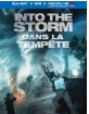 Into the Storm (2014) (Blu-ray + DVD + UV Copy) (CA Import ohne dt. Ton) Blu-ray