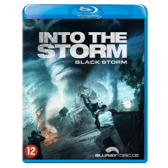 Into-the-storm-2014-NL-Import.webp