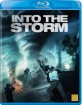 Into the Storm (2014) (SE Import) Blu-ray