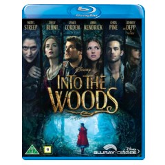 Into-the-woods-2014-DK-Import.jpg