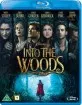 Into the Woods (2014) (DK Import ohne dt. Ton) Blu-ray