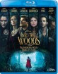 Into the Woods - Promenons nous dans les Bois (FR Import ohne dt. Ton) Blu-ray