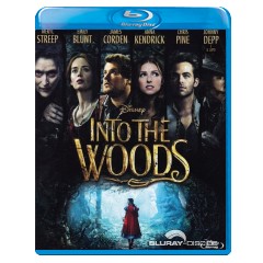 Into-the-woods-2014-IT-Import.jpg