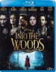 Into the Woods (2014) (IT Import ohne dt. Ton) Blu-ray