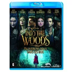 Into-the-woods-2014-NL-Import.webp