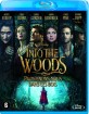 Into the Woods (2014) (NL Import ohne dt. Ton) Blu-ray