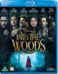 Into the Woods (2014) (NO Import ohne dt. Ton) Blu-ray