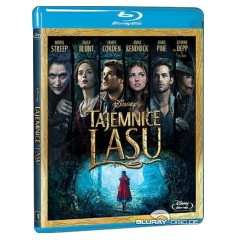 Into-the-woods-2014-PL-Import.webp
