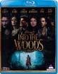 Into the Woods (2014) (ZA Import ohne dt. Ton) Blu-ray