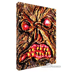 Invaluable-2014-Limited-Edition-Hartbox-Cover-B-DE.webp