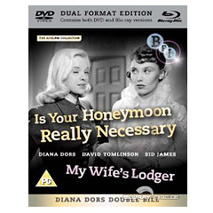 Is-Your-Honeymoon-Really-Necessary-My-Wifes-Lodger-UK.jpg
