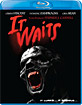 It Waits (Region A - US Import ohne dt. Ton) Blu-ray