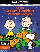 It's the Great Pumpkin, Charlie Brown 4K (4K UHD + Blu-ray + UV Copy) (US Import ohne dt. Ton) Blu-ray