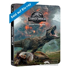 Jurassic-world-fallen-kingdom-steelbook-IT-Import.jpg Jurassic-world-fallen-kingdom-steelbook-IT-Import.jpg