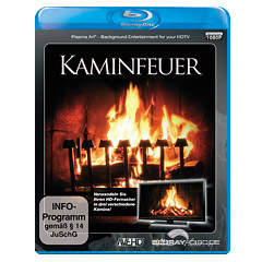 Kaminfeuer-2011.webp