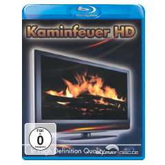 Kaminfeuer-HD-2009.jpg