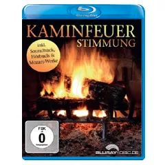 Kaminfeuer-Stimmung.webp