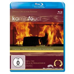 Kaminfeuer.webp