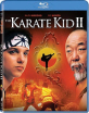 Karate-Kid-2-CZ_klein.jpg
