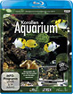 Korallen-Aquarium HD Blu-ray