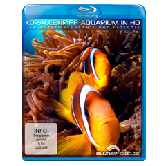 Korallenriff-Aquarium-in-HD-Die-Unterwasserwelt-der-Fidschis.jpg