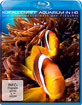 Korallenriff Aquarium in HD - Die Unterwasserwelt der Fidschis Blu-ray