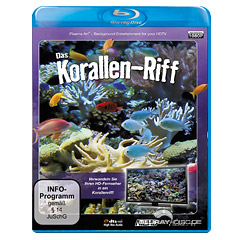 Korallenriff.webp
