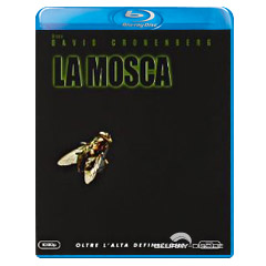 La-Mosca-IT.webp