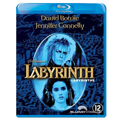 Labyrinth-NL.jpg