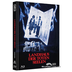 Landhaus-der-toten-Seelen-Limited-Mediabook-Edition-Cover-D-AT.jpg