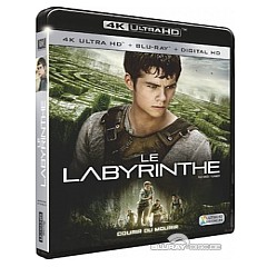 Le-Labyrinthe-2014-4K-FR.webp