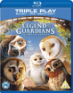 Legend of the Guardians: The Owls of Ga'Hoole (Blu-ray + DVD + UV Copy) (UK Import) Blu-ray