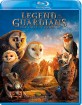 Legend of the Guardians: The Owls of Ga'hoole (US Import ohne dt. Ton) Blu-ray