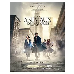 Les-Animaux-Fantastiques-FR.webp