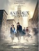 Les Animaux Fantastiques (FR Import ohne dt. Ton) Blu-ray