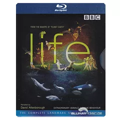 Life-Steelcase-TH.webp