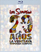Los Simpson - 20 Anos La Veinteava Temporada Completa (MX Import ohne dt. Ton) Blu-ray