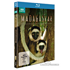 Madagascar-2011.jpg