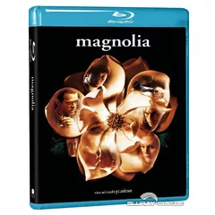 Magnolia-IN.webp