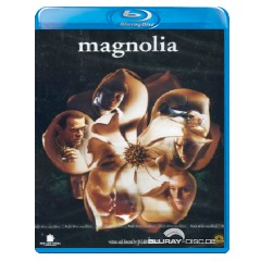 Magnolia-IT-Import.webp