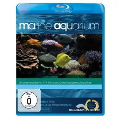 Marine-Aquarium.webp