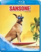 Sansone (Blu-ray + DVD) (IT Import ohne dt. Ton) Blu-ray