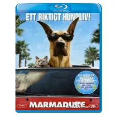 Marmaduke-SE-Import.webp