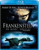 Frankenstein De Mary Shelley (MX Import ohne dt. Ton) Blu-ray