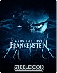 Mary Shelley's Frankenstein (1994) - Zavvi Exclusive Limited Edition Steelbook (UK Import) Blu-ray