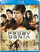 Więzień labiryntu: Próby ognia (PL Import ohne dt. Ton) Blu-ray